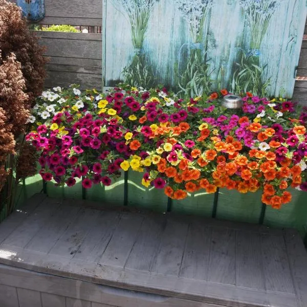 Amsterdam Roof Terrace B&B, Hotel in Amsterdam