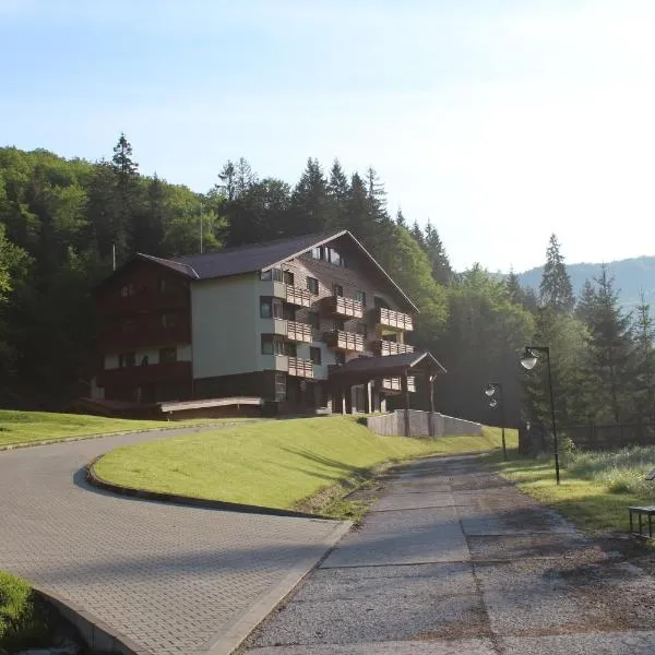 Monte Cervo Bio Hotel & Spa, hotel in Covasna