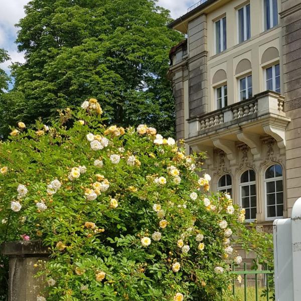 Hotel Villa Lalee, Дрезден
