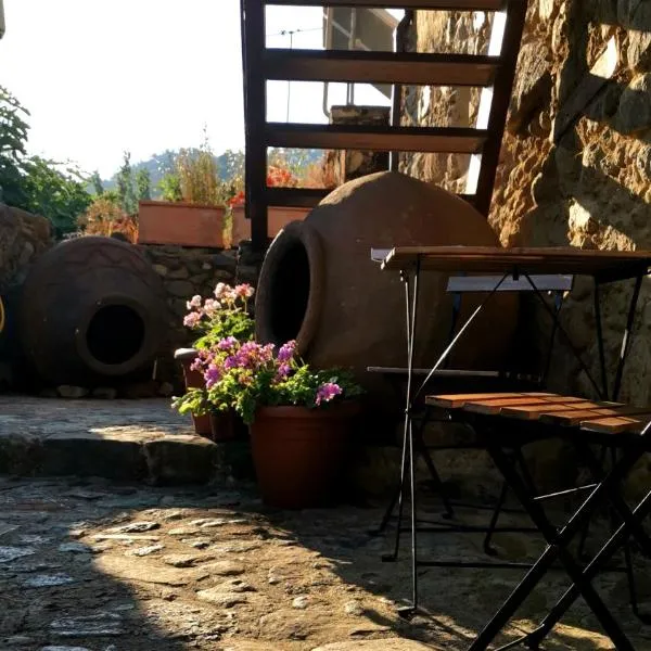 Maritsa Lodge, hotell Kakopetrias