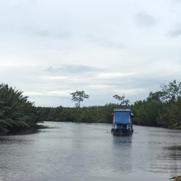 Orangutan Shaka Houseboat with cabin, hotel din Pangkalan Bun