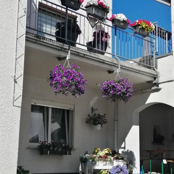 Ferienwohnung-Kiefer, hotel v destinaci Hillscheid