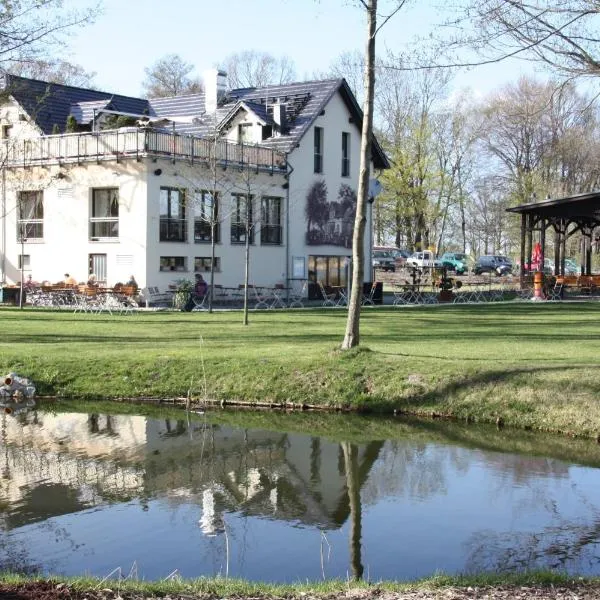 Pension-Maustmühle, hotel v destinaci Peitz
