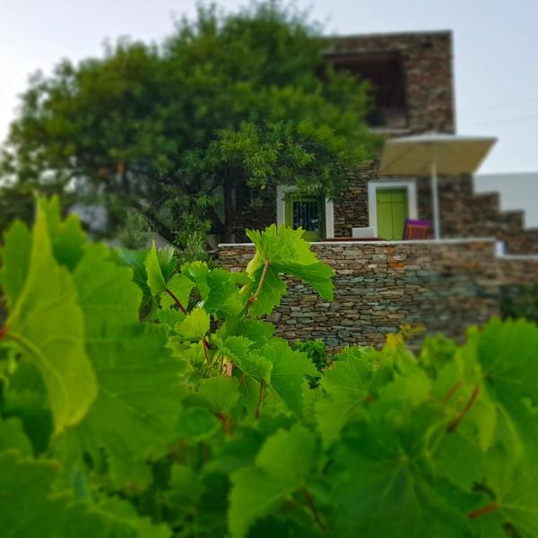 Cycladic Vineyard House