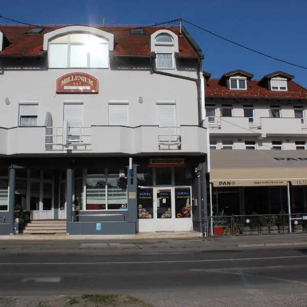Hotel Millennium, hotel in Osijek