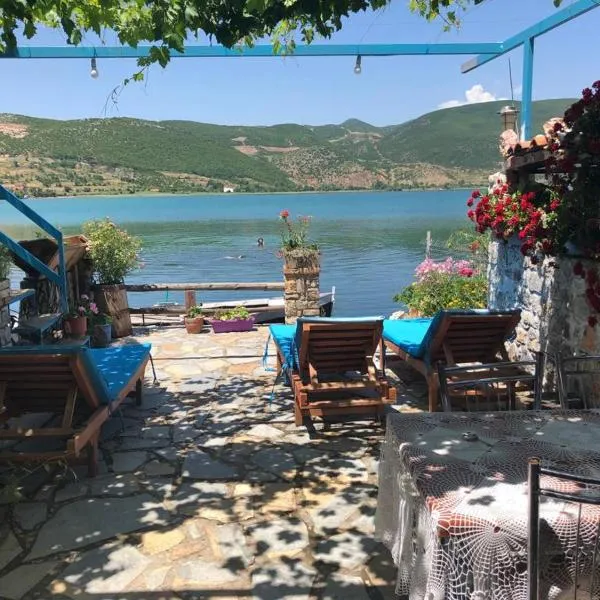 Rosa B&B, hotell sihtkohas Lin