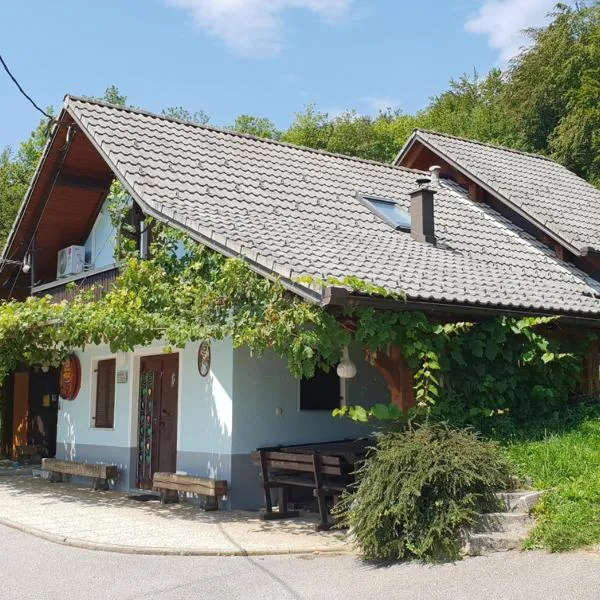 Zidanica Meglič - Vineyard cottage Meglič, hotel sa Trebnje