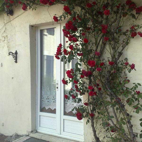 Petit Cerisier