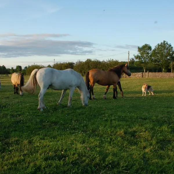 The Little Flock Farm, ξενοδοχείο σε Cloonmore