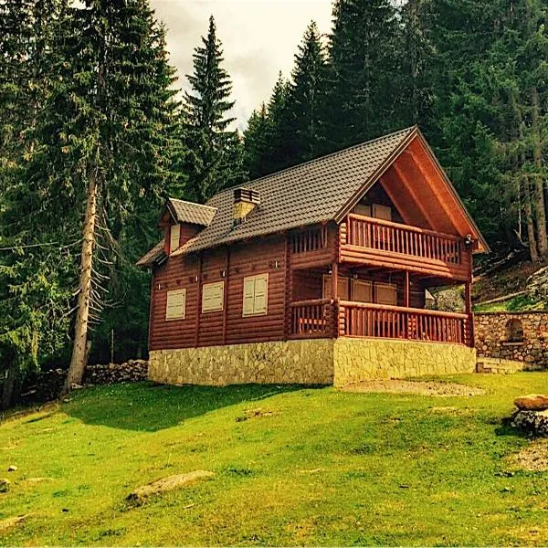 Triangle Woodhouse, hotel v destinaci Plav