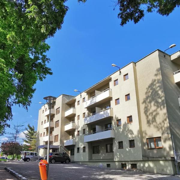 Hotel Timisoara Sannicolau Mare