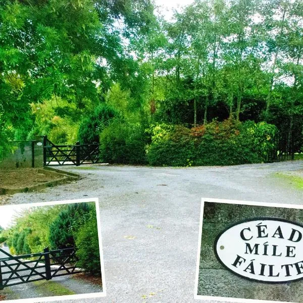 Kingstown House, Hotel in Cashel