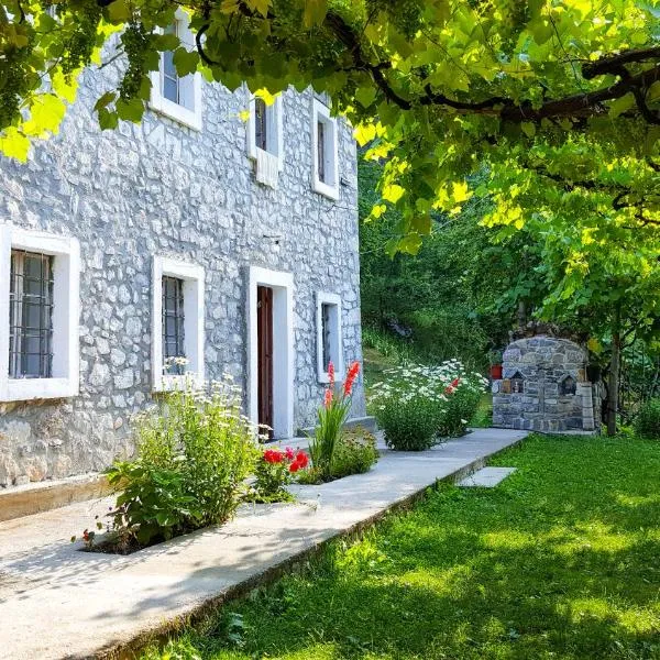 Guesthouse "Gjin Thana", ξενοδοχείο σε Theth