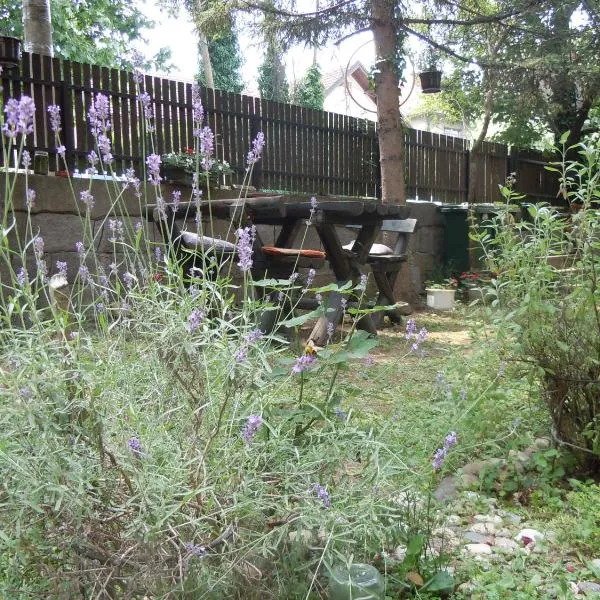 Apartmani Sobe BILJANA, hotel in Arandjelovac