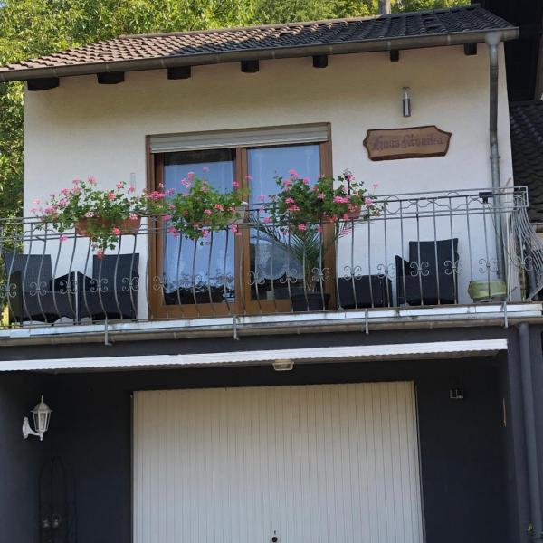 Haus Monika in Saarhölzbach