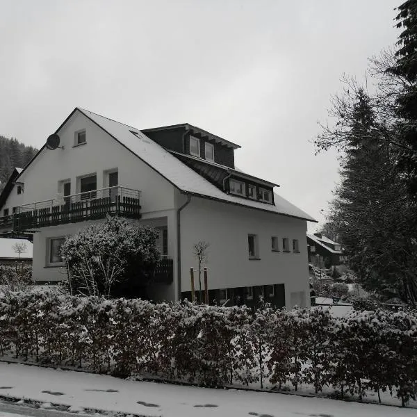Ferienwohnung Haus Kloosterman, hotel v destinaci Winterberg