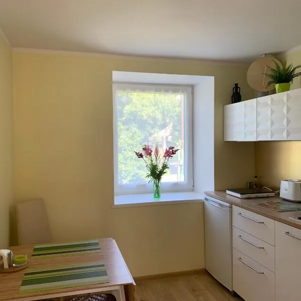 Excelent apartment with garden and free parking, hotel in Riga