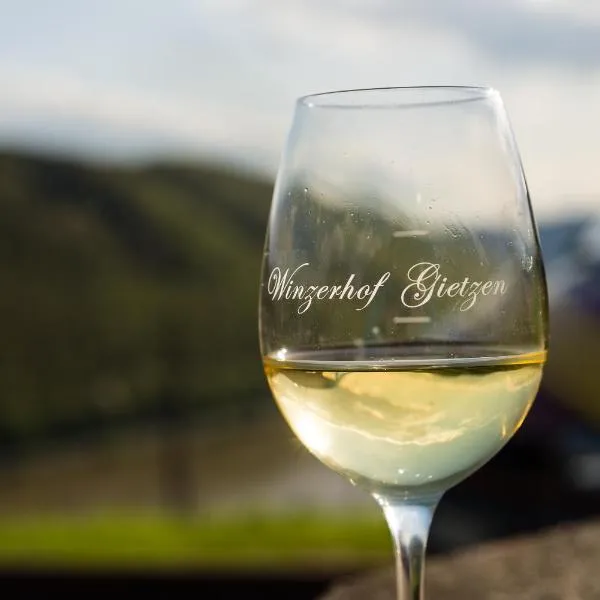 Winzerhof Gietzen โรงแรมในHatzenport
