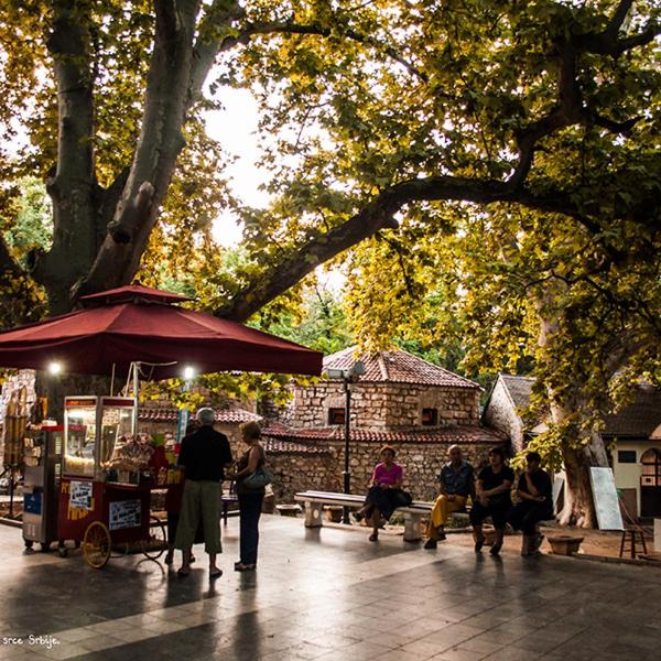 CENTRAL PARK SOKOBANJA