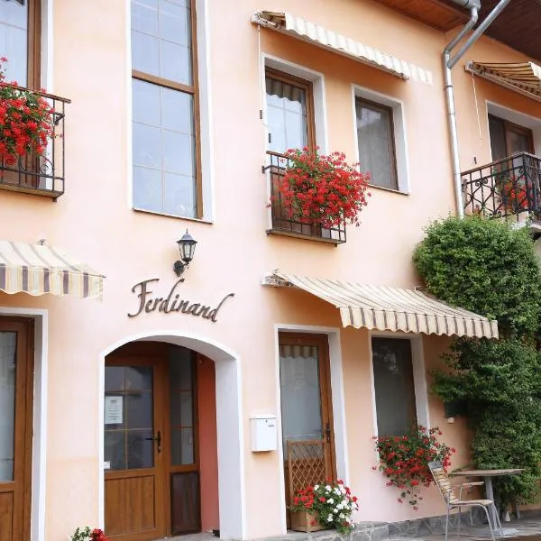 Pension Ferdinand Panzio, hotel in Sfântu-Gheorghe