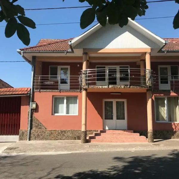 SergillioHouse, Hotel in Chişcău