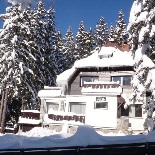 Vila Filip, hotel in Predeal