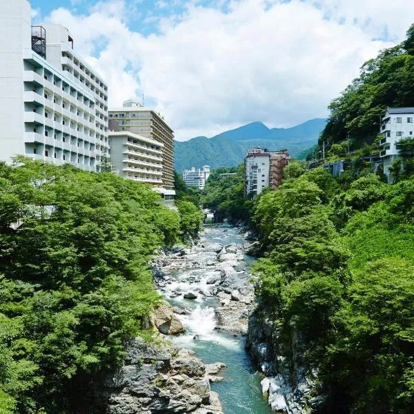 鬼怒川温泉ホテル、日光市のホテル