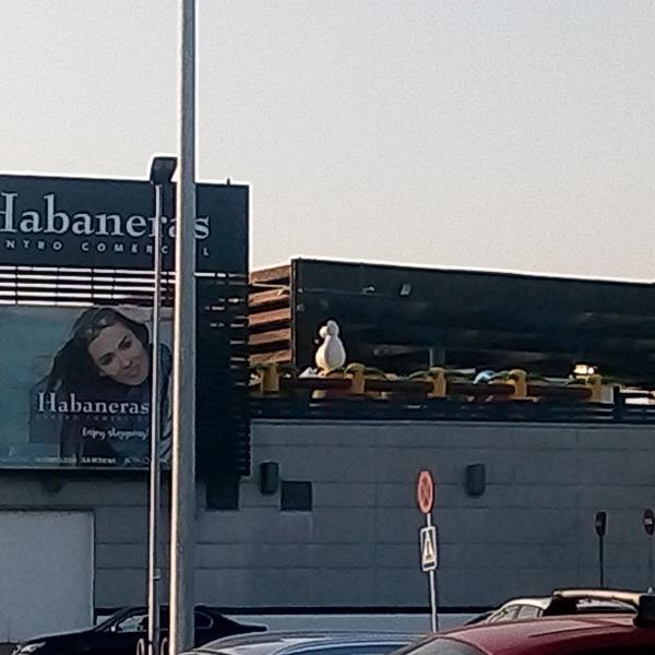 Sentral appartement in Torrevieja