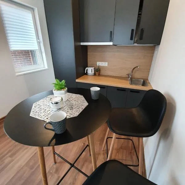 Oak house apartments, hotel em Kaunas