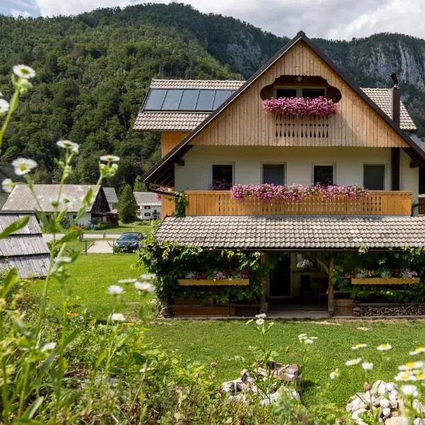 TriSa apartments Bohinj, hotel in Bohinj