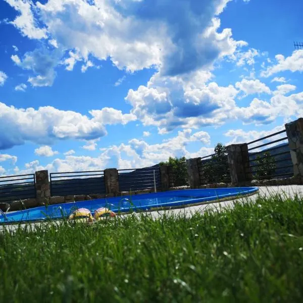 Casa Sviniceană, hotel v destinaci Sviniţa