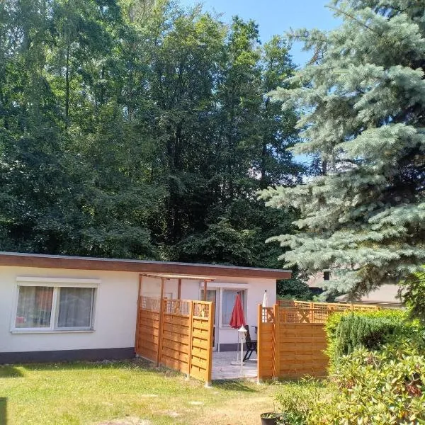 Dünenhaus - Bungalow groß - zum Strand 50m, отель в городе Иккериц