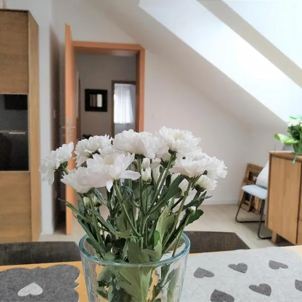 Design Residence -Garden & Comfort, hotel in Bratislava
