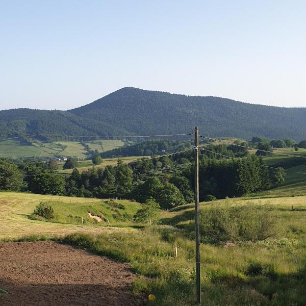 Maisons du Père Paille