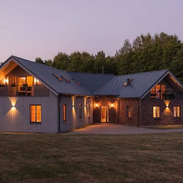 Lake & Library boutique Hotel, hotel in Ignalina