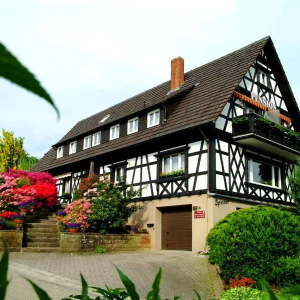 Pension am Weinberg、ザスバッハヴァルデンのホテル