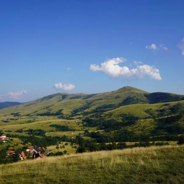 Apartment Gajevi, hotel v destinaci Zlatibor