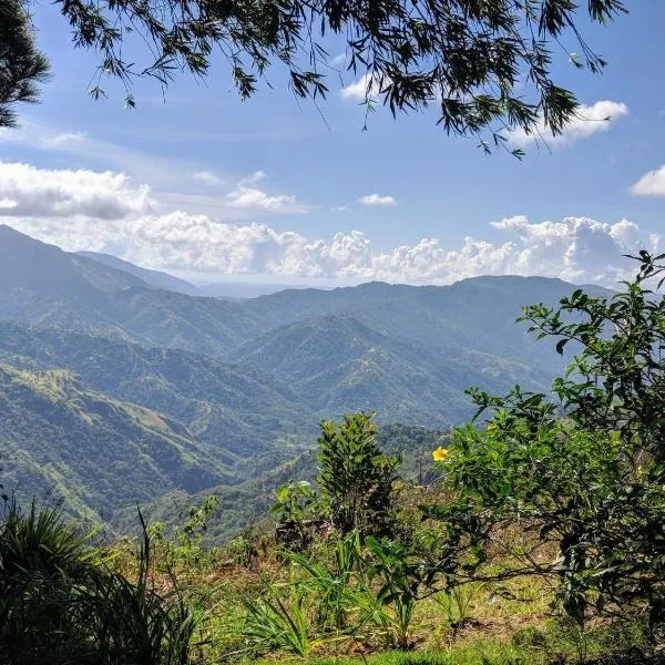 Lime Tree Farm, Blue Mountains, hotell sihtkohas Mavis Bank