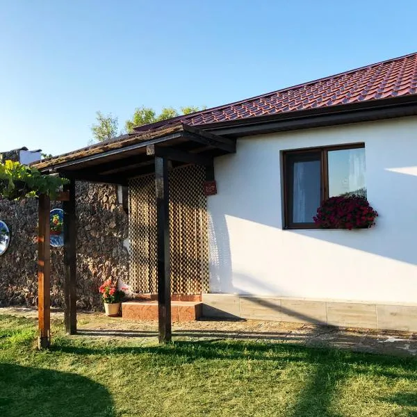 Villa Draganovi, hotel v destinácii Kamen Brjag