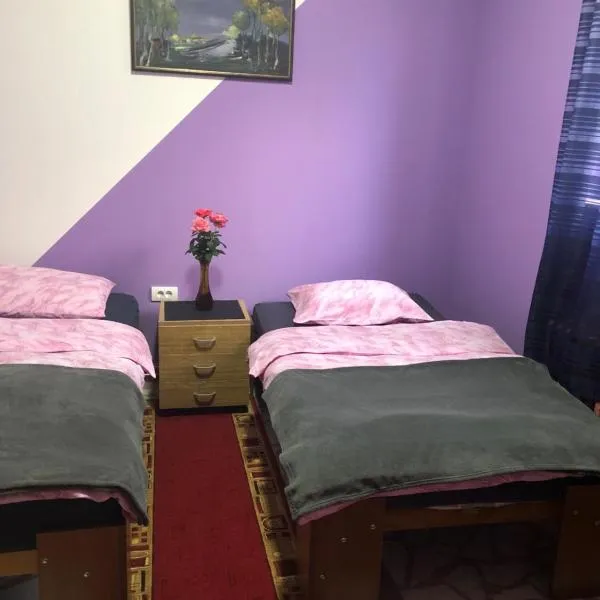 Swiss Hostel, hotel in Kruševac