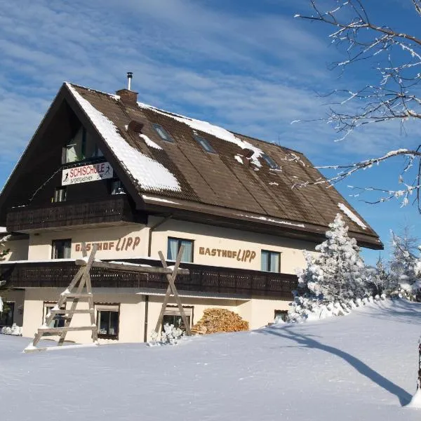 Sportgasthof Lipp, hotel in Lederwinkel