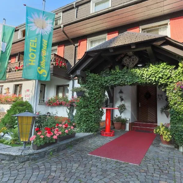 Hotel Silberdistel, hotel in Hinterzarten