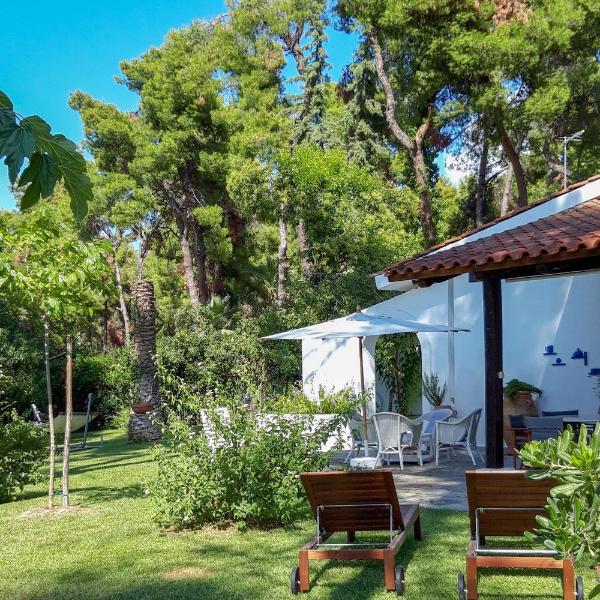 Villa Aurora in Sani with garden and pool