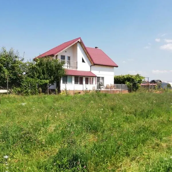 Vila Ekooos: Braşov şehrinde bir otel