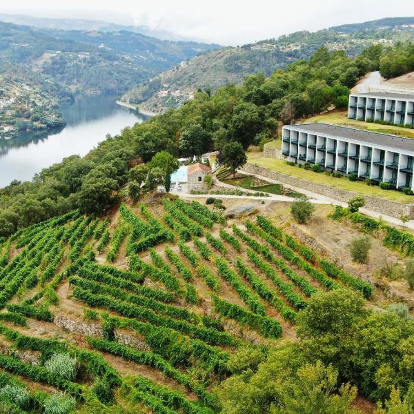 Douro Palace Hotel Resort & SPA