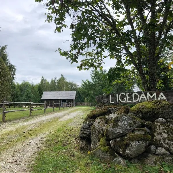 Ligedama külalistemaja，位于Koljaku的酒店