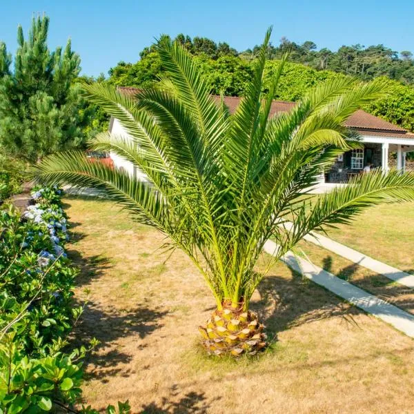 Casa Amaral, ξενοδοχείο σε Santo António