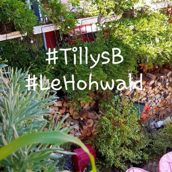 Tilly's B&B and apartment house, hôtel au Hohwald