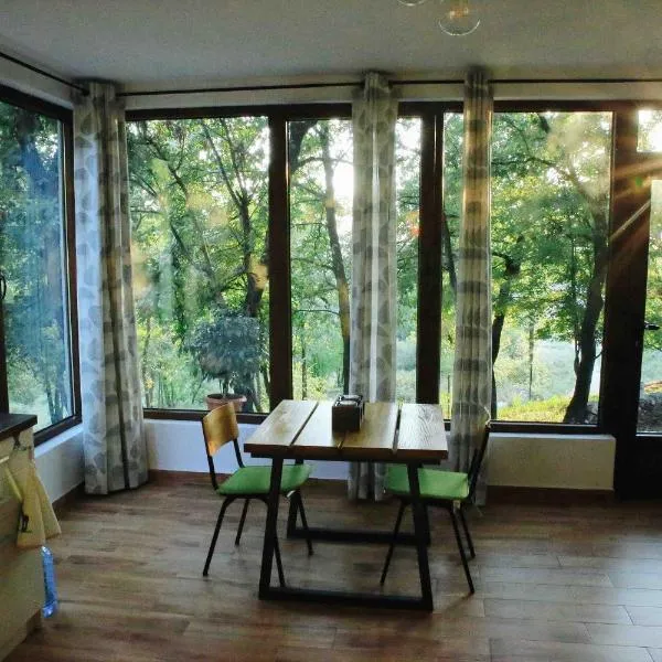 Donkey Farm Martinici - Farma magaraca Martinici, hotel din Danilovgrad