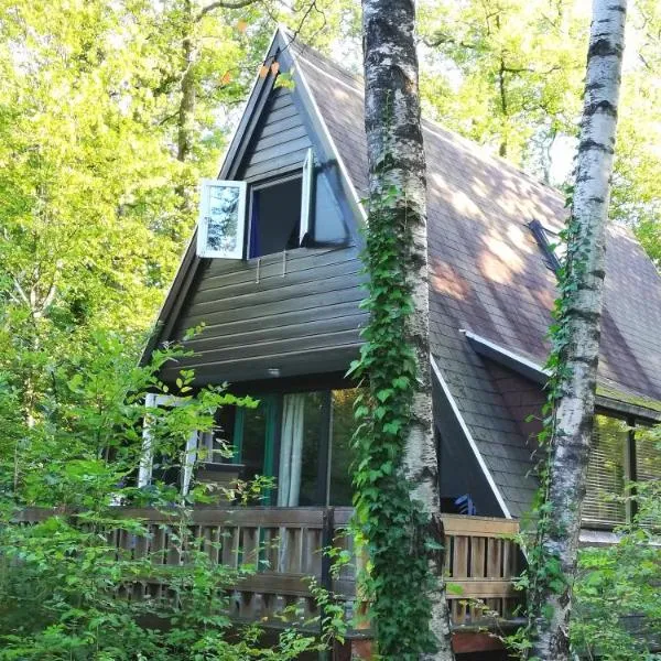 Sunclass Durbuy Huisje 132, Hotel in Durbuy